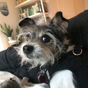 Meet your Posher, Scotty